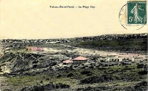 CAP FALCON (1055)